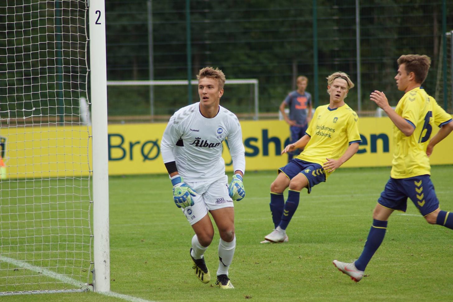 U19BIF