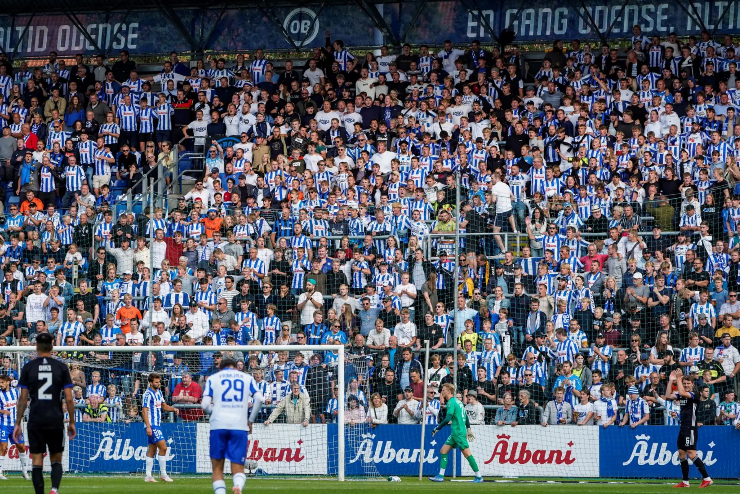 OBFCK fans