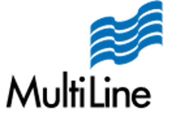 Multiline logo