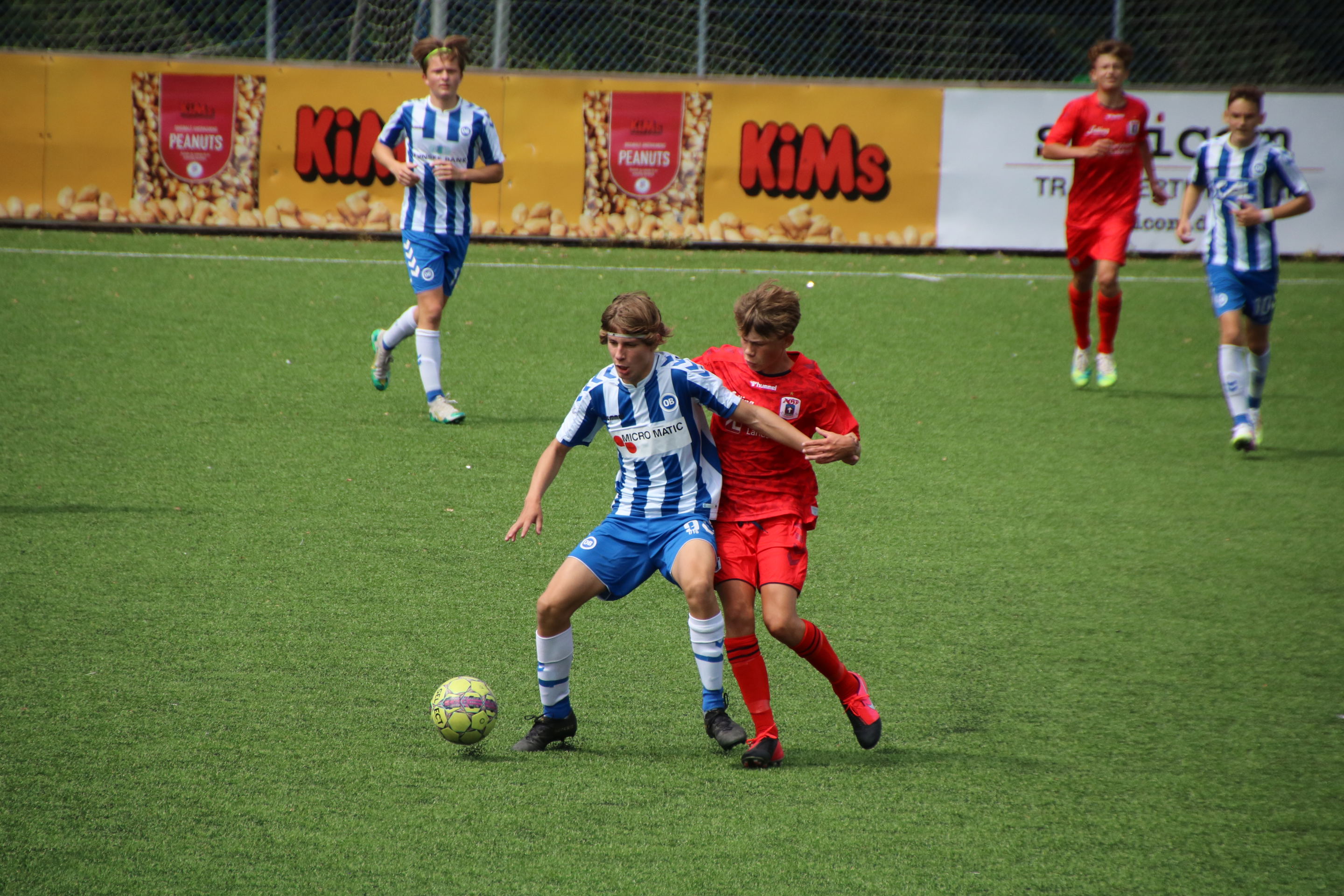 IMG_5579